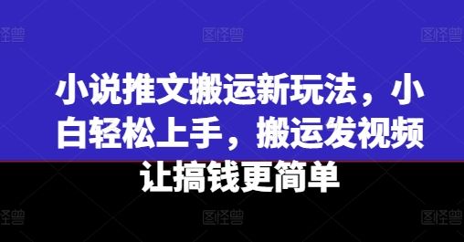 小说推文搬运新玩法，小白轻松上手，搬运发视频让搞钱更简单-东哥聊项目