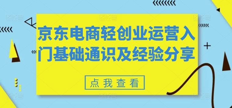 京东电商轻创业运营入门基础通识及经验分享-东哥聊项目