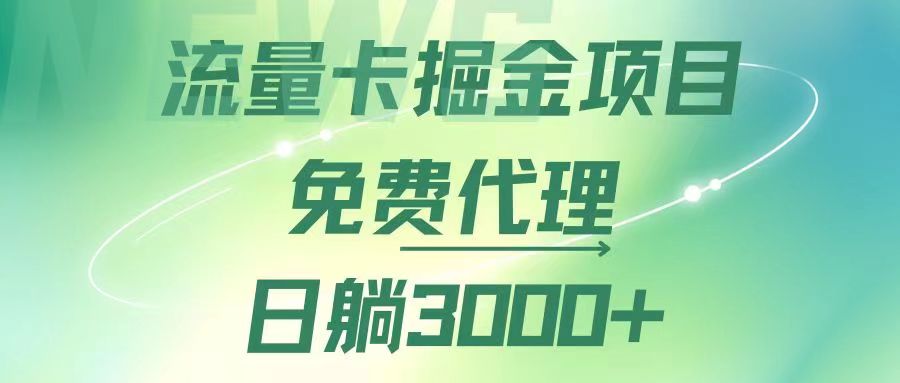 （12321期）流量卡掘金代理，日躺赚3000+，变现暴力，多种推广途径-东哥聊项目