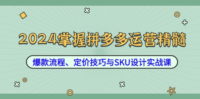 2024掌握拼多多运营精髓：爆款流程、定价技巧与SKU设计实战课-东哥聊项目